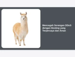 Mencegah Serangan DDoS dengan Hosting yang Terpercaya dan Aman
